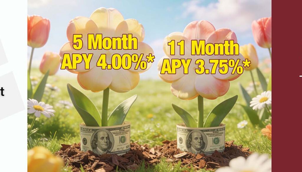 CD / IRA Rates