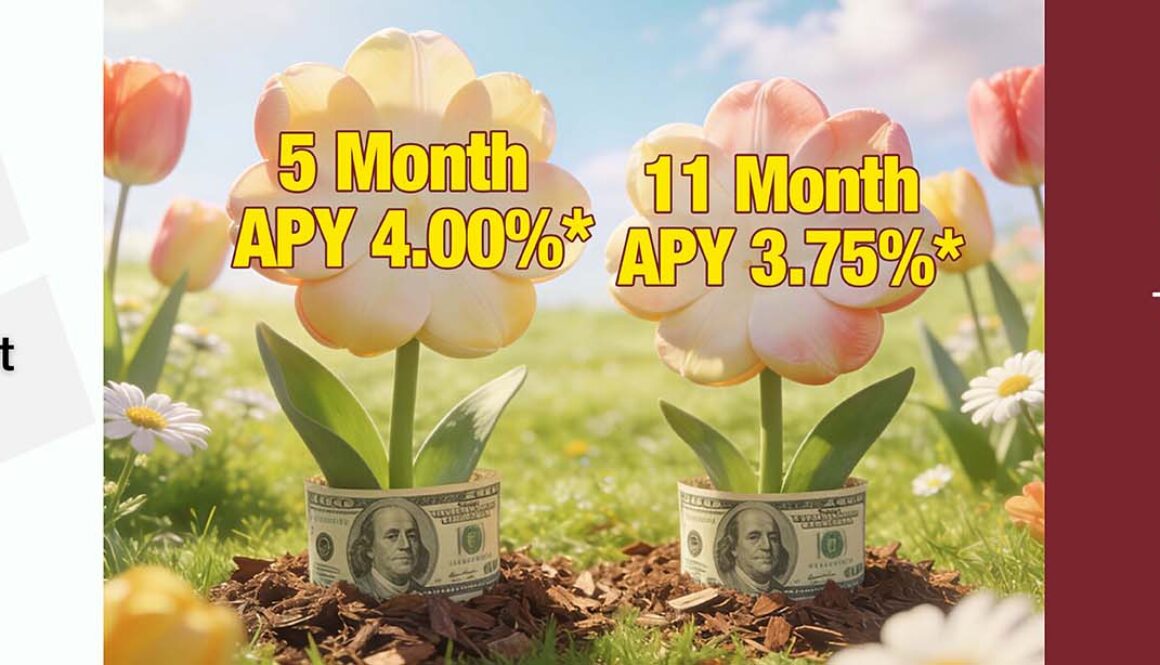 CD / IRA Rates