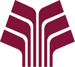 Icon Overlay